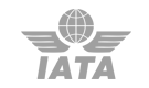 International Air Transport Association